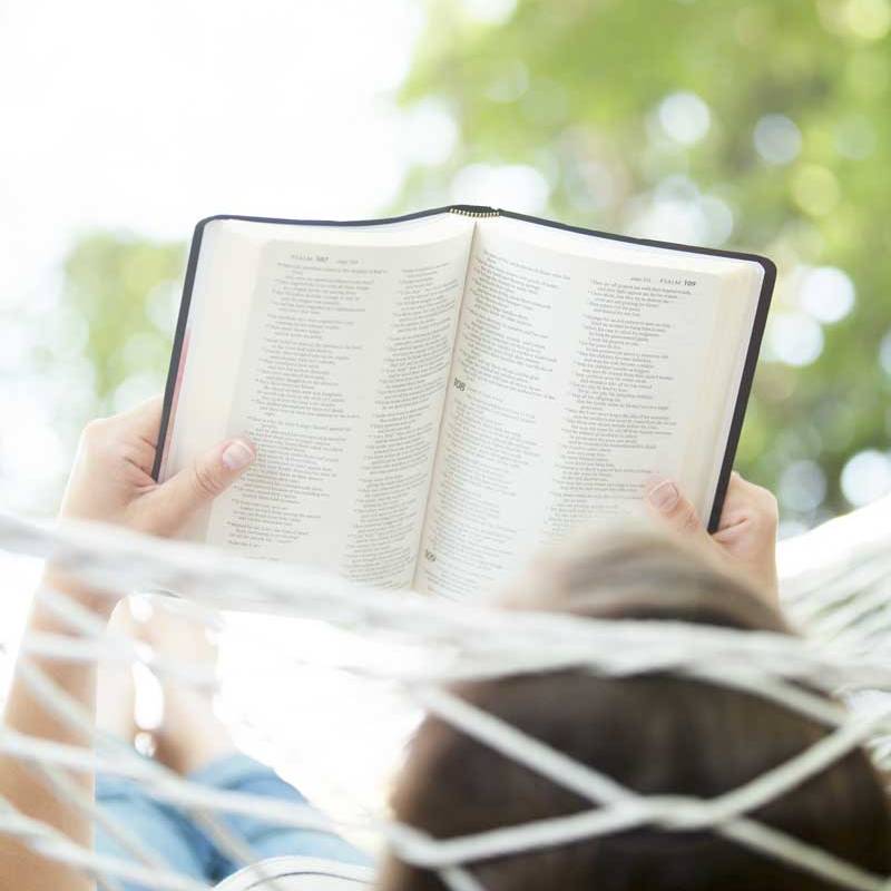 A Vacation for the&nbsp;Mind